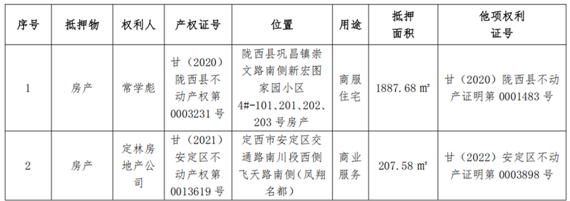 定西远大-w66利来债权资产营销公告_222_副本.png